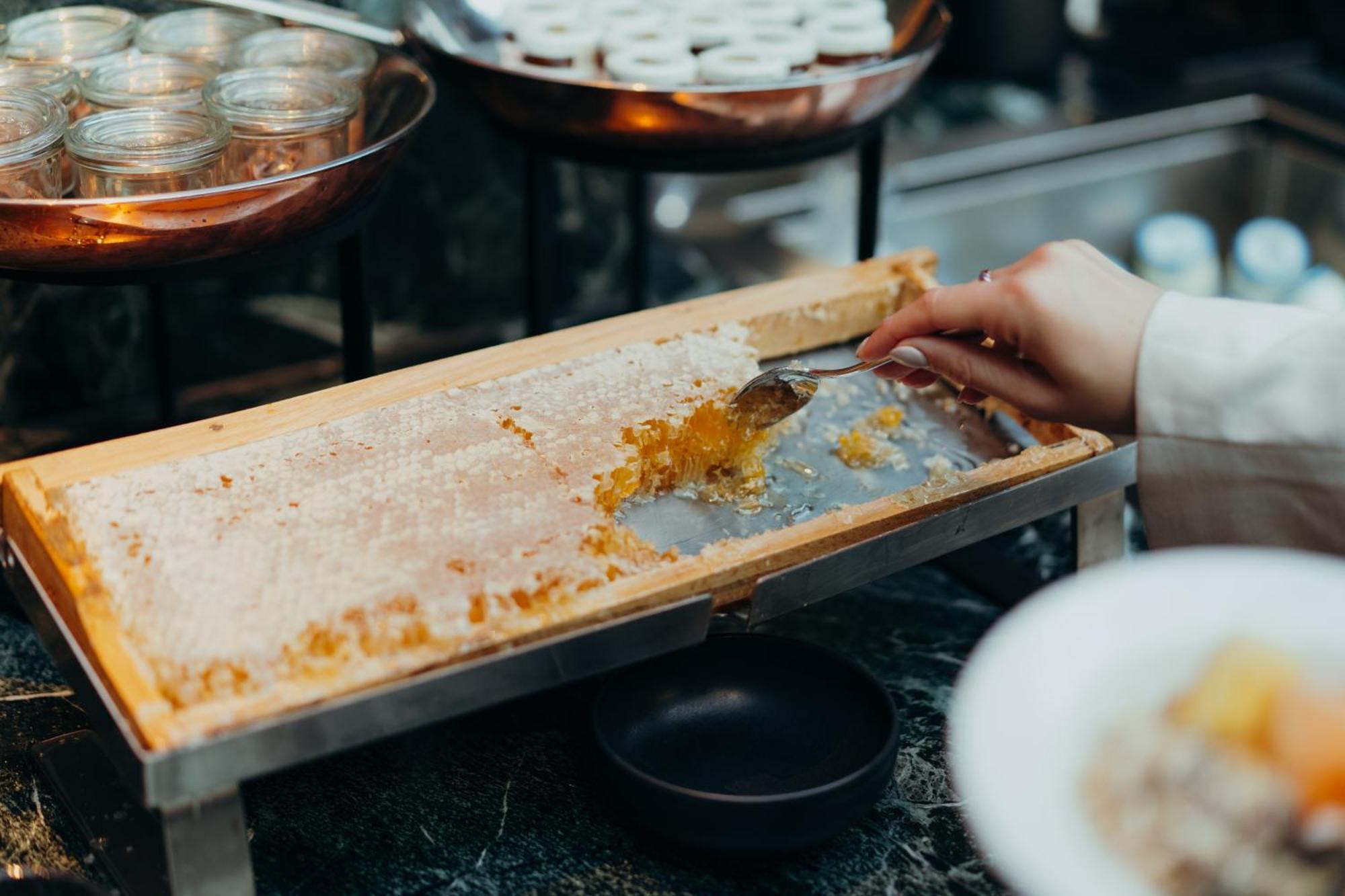 Sly Berlin Ξενοδοχείο Εξωτερικό φωτογραφία Honeycomb